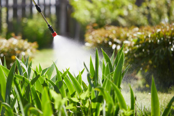 24/7 Emergency Wasp Removal experts in Niles, OH