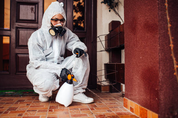 Reliable Wasp Removal contractor in Niles, OH by Show Me Pest Control